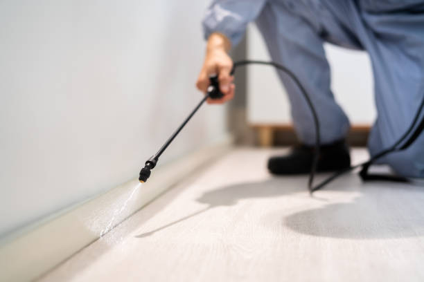 Licensed Fumigation Services service in Stansberry Lake, WA - Nex Pest Control