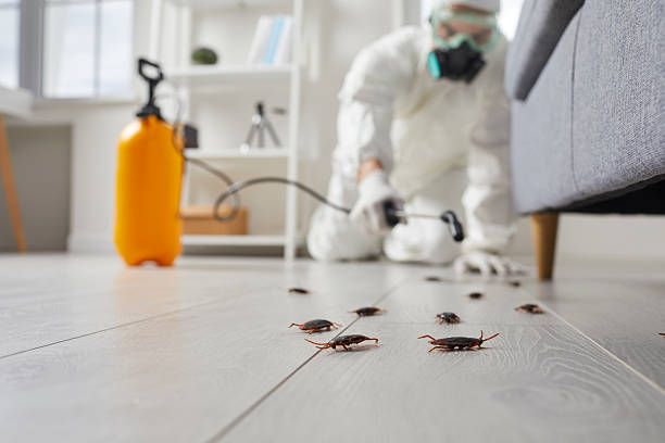 Trusted Rodent Control service in Stansberry Lake, WA - Nex Pest Control