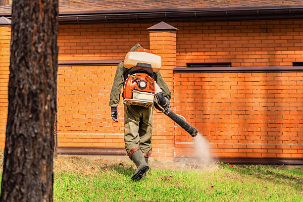 Trusted Emergency Pest Control service in Stansberry Lake, WA - Nex Pest Control